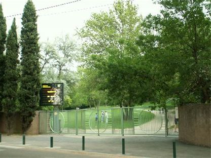 Photos